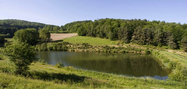 Validation des 11 projets de plans d’eau à usage d’irrigation en Haute-Vienne